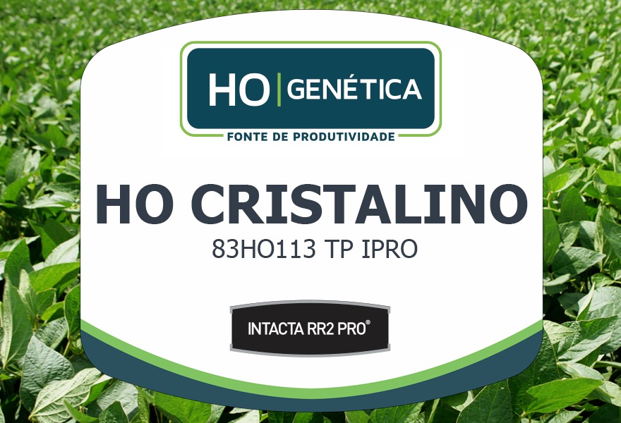 CRISTALINO 83HO113TP IPRO RO 